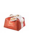 Filippi Granfrutta Panettone 1kg