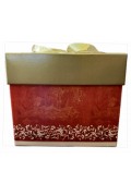 Chiostro 5kg Classico Panettone Box